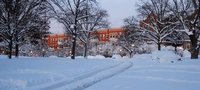 Charles Village -- Baltimore Blizzard 2010