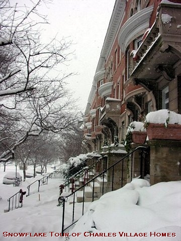 Click to see next picture
